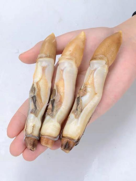 冰鲜【顺丰包邮】海鲜礼盒 中秋送礼新鲜冷冻（500g*4） 商品图4