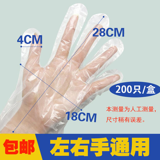 世康-一次性手套【餐饮手套】 商品图1