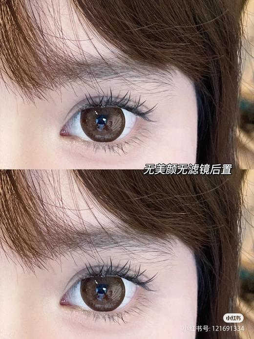 【店主实拍】波斯菊棕14.5mm 【年抛 0-1000度 无525/575 】 商品图3