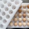 【送礼必备】密农人家土鸡蛋礼盒  农家纯粮喂养0激素  30枚/60枚 商品缩略图5