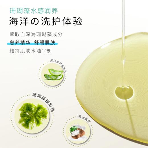 【中欧班列精选】日本蜜梨品牌沐浴露 蜜梨珍珠滋养 /珊瑚藻清爽沐浴露 500ml /瓶 商品图7