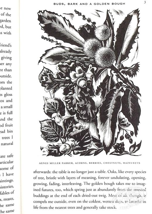 预售 【中商原版】树的历史 英文原版 The Long, Long Life of Trees 生态环境 Fiona Stafford 商品图7