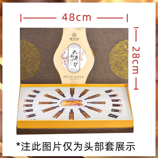 婵养堂养护大套（尺寸48 *28cm）臀部头部胸部净化元动力幸福之源肩颈买十送一，养生套盒身体套盒身体拓客套盒 商品图1