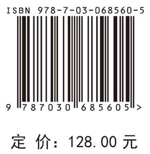 无人船集群协同控制理论与实践/彭周华等 商品图2