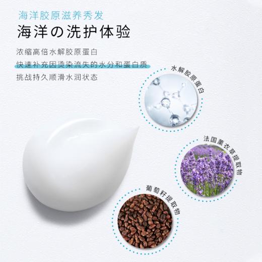 【中欧班列精选】日本蜜梨品牌洗发水 海洋干性油性中性洗发/胶原养护发膜 500ml/瓶 商品图13