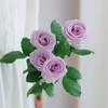 【AB级九星蓝狐多头玫瑰.第二件减10元】5支/份  长约60-65cm 商品缩略图2