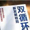 (仓发) 双循环新发展格局 2021年度中国好书获奖作品/中译出版社/贾康，刘薇/9787500166290 商品缩略图3