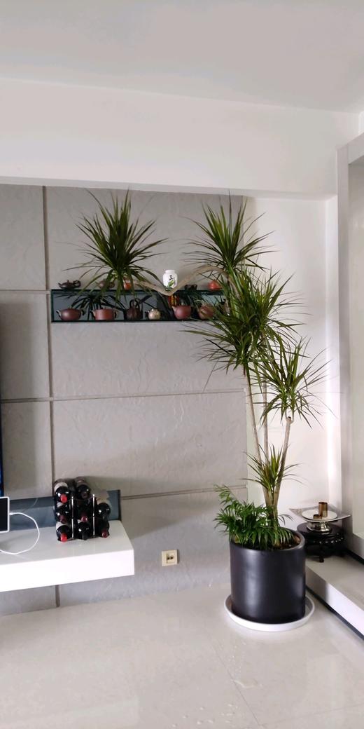 七彩铁 商品图0