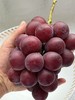 山西运城妮娜皇后葡萄新鲜无籽红提4.5斤 顺丰包邮 商品缩略图1