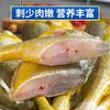 冷冻【顺丰包邮】海鲜礼盒 送礼新鲜（500g*4） 商品缩略图2