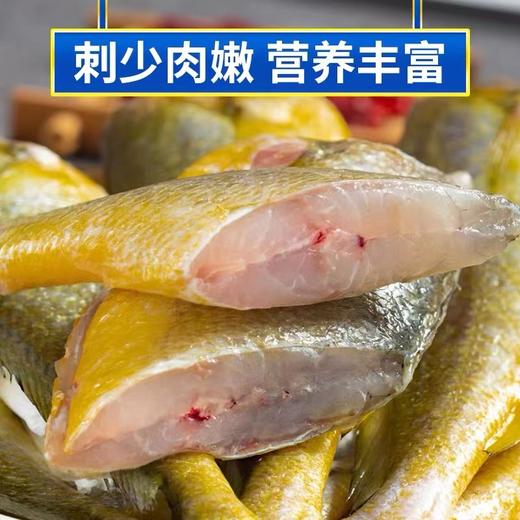 冷冻【顺丰包邮】海鲜礼盒 送礼新鲜（500g*4） 商品图2