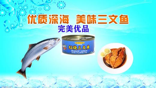 AY深海三文鱼超值养生组 宜佳 商品图0