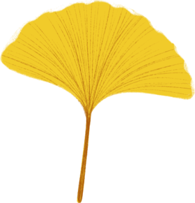 一穴一知｜穴位里的当归（三阴交） 