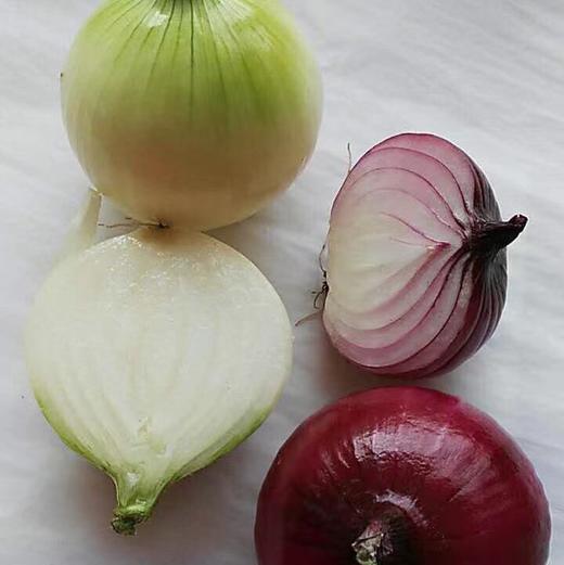 【下单后48小时左右发货】张家口 羊粪 土豆 黄皮5斤装左右 商品图9