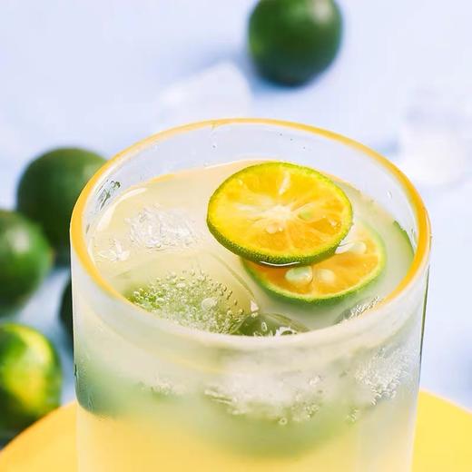 青金桔植物饮料318ml*6 商品图3