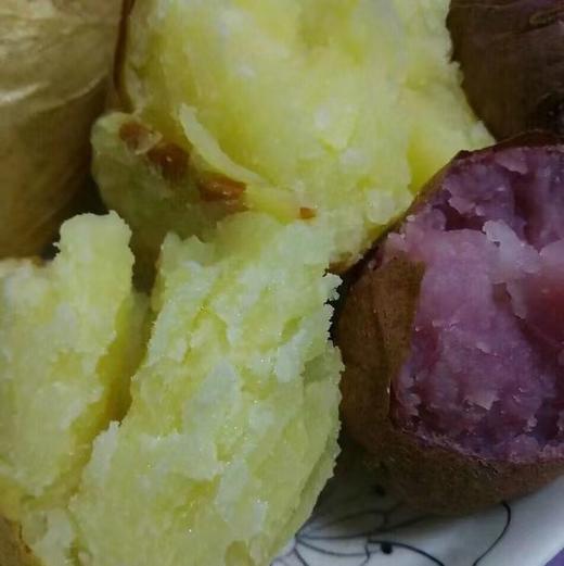 【下单后48小时左右发货】张家口 羊粪 土豆 黄皮5斤装左右 商品图5