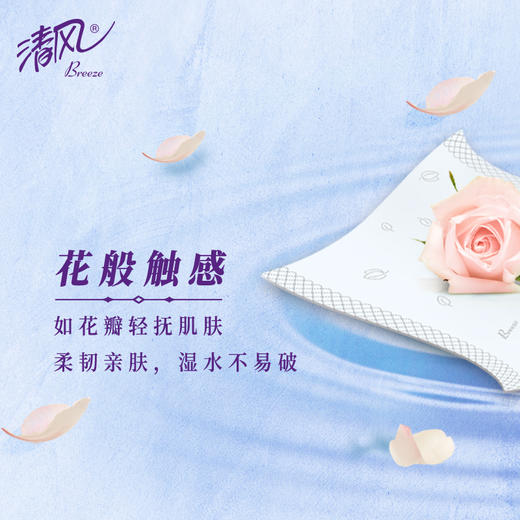 BR81SHC清风花萃系列4层80抽8包S抽纸 商品图7