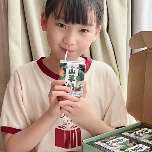 安牧山羊奶，无膻味好喝，200毫升*10盒装，发普通快递 商品图2