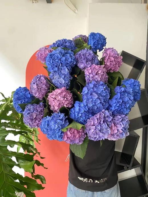 蓝色绣球（1枝） 商品图1