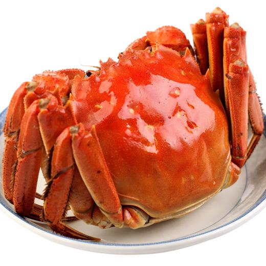 【大闸蟹尝鲜】【售后需在签收2小时内发反馈】中粮凌鲜大闸蟹豪华款3288型【分仓直发，72小时发货，周末节假日不发货】 商品图2