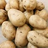 【下单后48小时左右发货】张家口 羊粪 土豆 黄皮5斤装左右 商品缩略图6