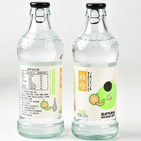 褚橙苏打气泡水蜜瓜味290ml