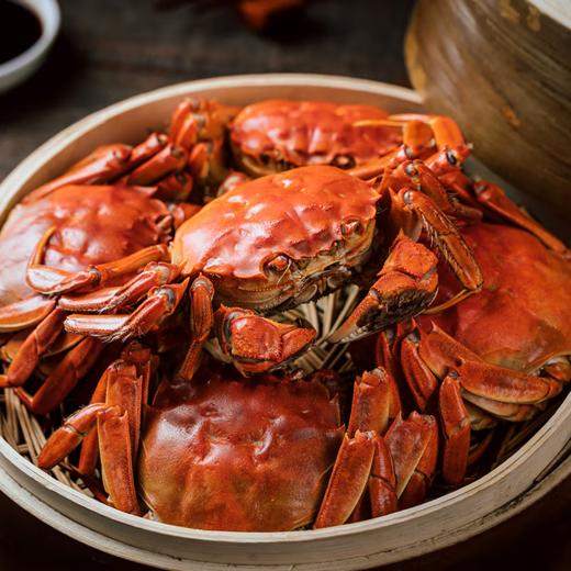 【大闸蟹尝鲜】【售后需在签收2小时内发反馈】中粮凌鲜大闸蟹豪华款3288型【分仓直发，72小时发货，周末节假日不发货】 商品图4