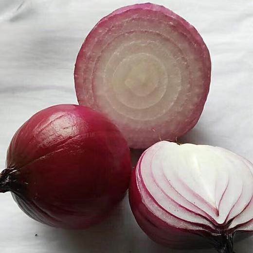 【下单后48小时左右发货】张家口 羊粪 土豆 黄皮5斤装左右 商品图8