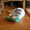 【新年礼物】大牌Q-monster猫草猫咪兴奋创意玩具抱枕（内含2袋猫薄荷） 商品缩略图4