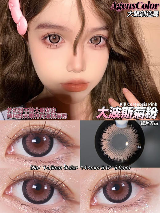 Agenscolor AG波斯菊粉 年抛直径14.5mm着色14.4mm 商品图8