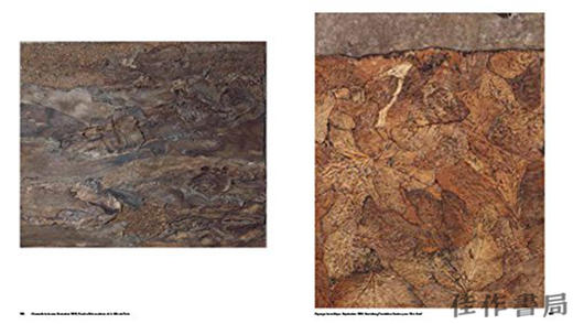 Jean Dubuffet: Metamorphoses of Landscape/让·杜布菲：景观的变形 商品图2