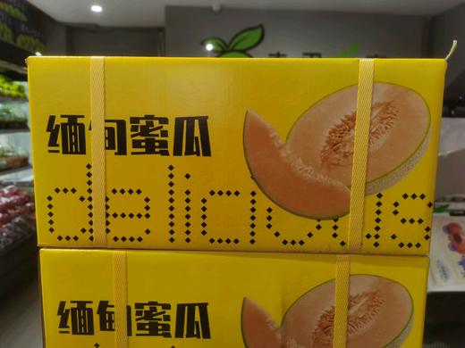 缅甸蜜瓜一箱 商品图0