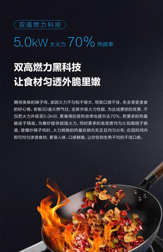 Robam/老板天燃气灶具JYZ-9B312 商品图5