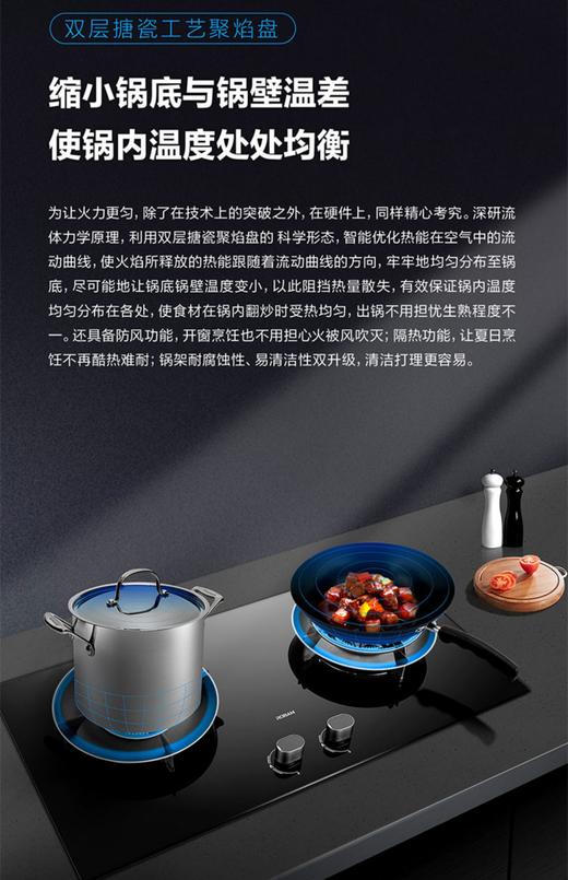 Robam/老板天燃气灶具JYZ-9B312 商品图7