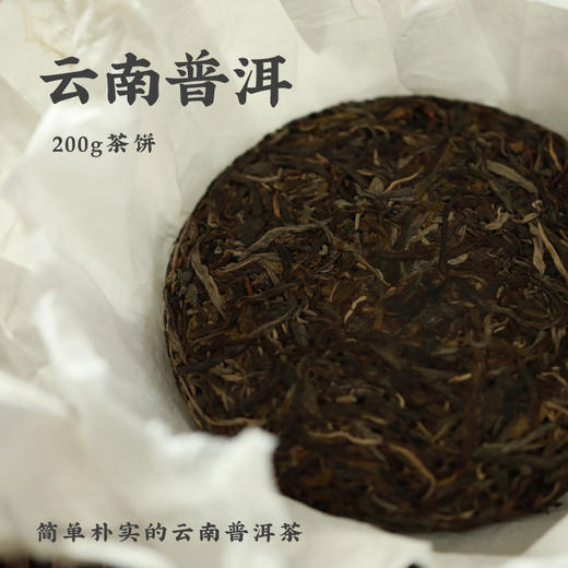 「云南普洱」布朗/易武风味  野生大理种  古树茶 商品图0