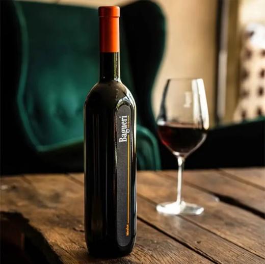 巴瑰丽梅洛干红葡萄酒 商品图2