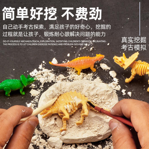 【博乐里】HQ879 考古化石挖掘扭蛋装盲盒 商品图1