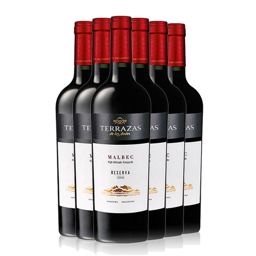 阿根廷 台阶安第斯山脉典藏马尔白克红葡萄酒 750ml*1瓶/6瓶 商品图4