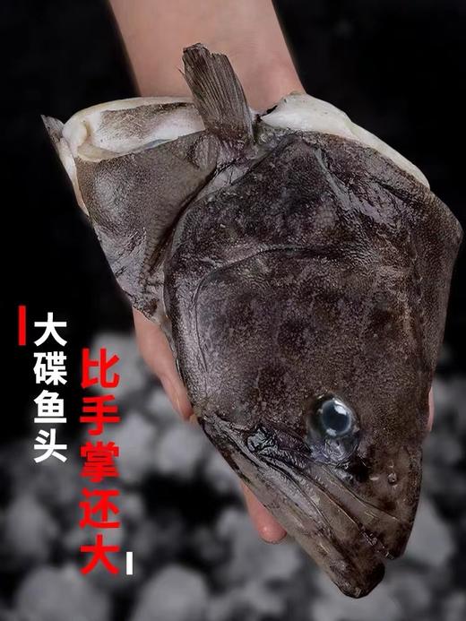 【顺丰包邮】鲽鱼头 超大新鲜冷冻深海鱼3斤 商品图1