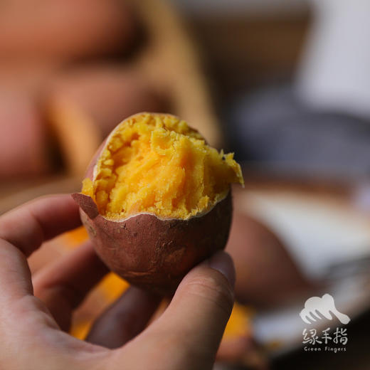 生态蜜薯（龙薯9号） | 合作生产* Ecological babe pumpkin | Coproduction 商品图4