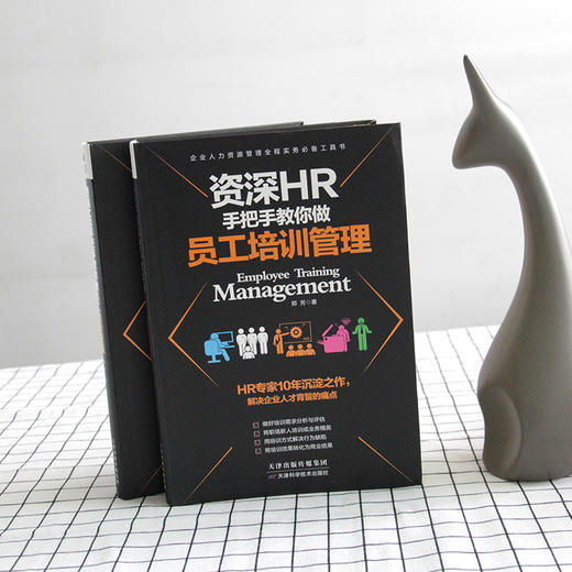 (仓发) 资深HR手把手教你做员工培训管理/天津科学技术出版社/郑芳/9787557629021 商品图3