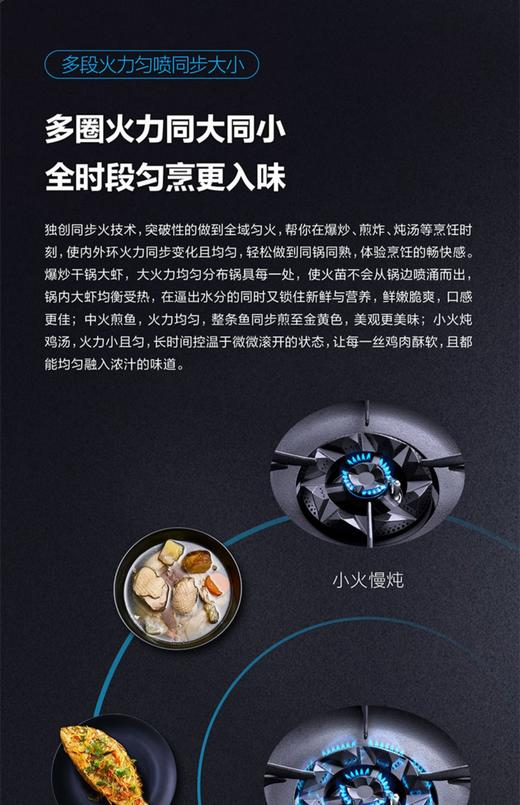 Robam/老板天燃气灶具JYZ-9B312 商品图6