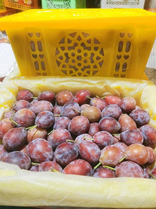 新疆西梅活动款一件 商品图0