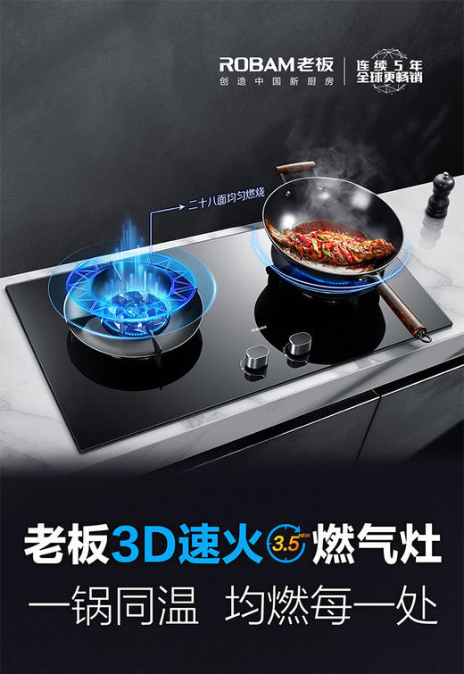 Robam/老板天燃气灶具JYZ-9B312 商品图0