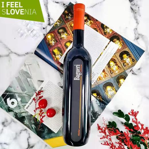 巴瑰丽梅洛干红葡萄酒 商品图6