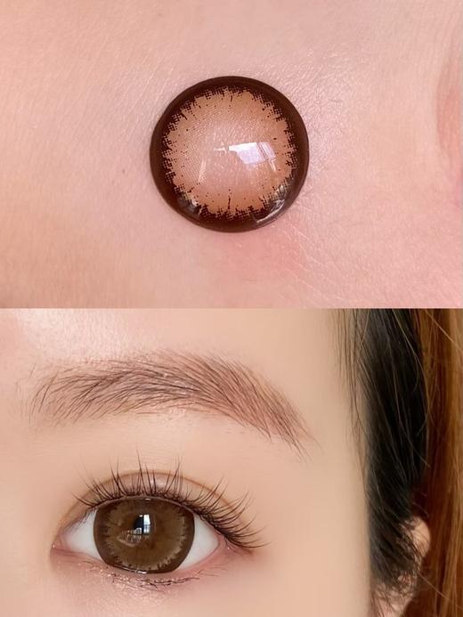 Agenscolor AG波斯菊棕 年抛直径14.5mm着色14.4mm 商品图12