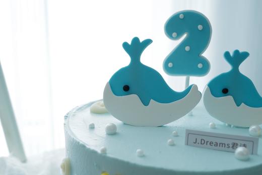 小海豚（提前2天以上预订） 商品图2