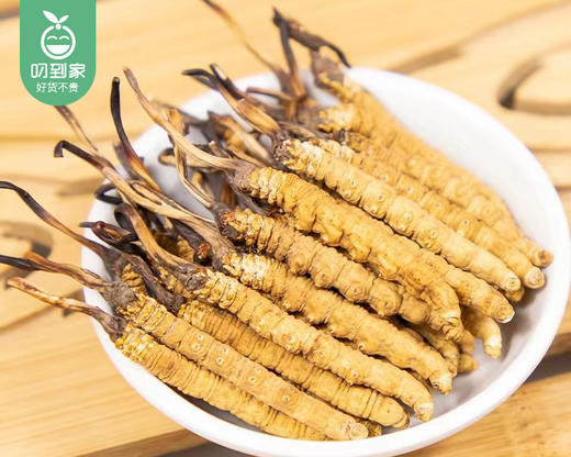 西藏那曲冬虫夏草礼盒（干货）/1盒（20只，共3.5g-3.8g）补单专用 商品图2