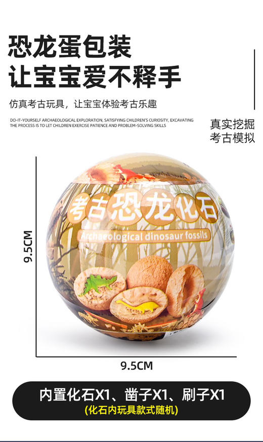 【博乐里】HQ879 考古化石挖掘扭蛋装盲盒 商品图2
