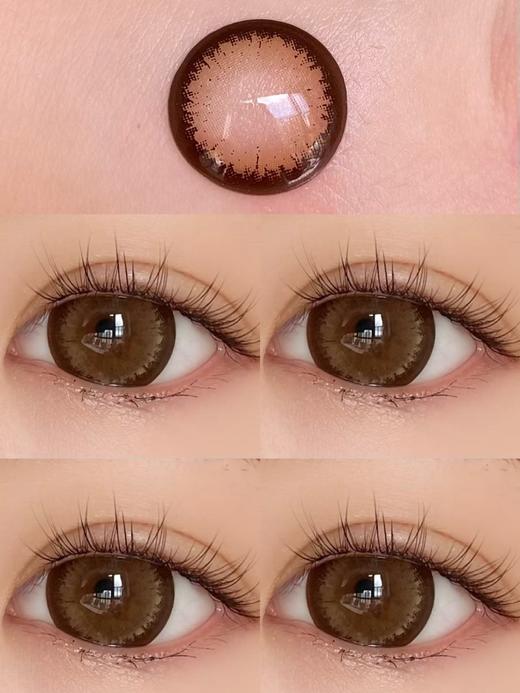 Agenscolor AG波斯菊棕 年抛直径14.5mm着色14.4mm 商品图10